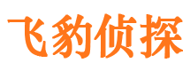 青山区外遇调查取证